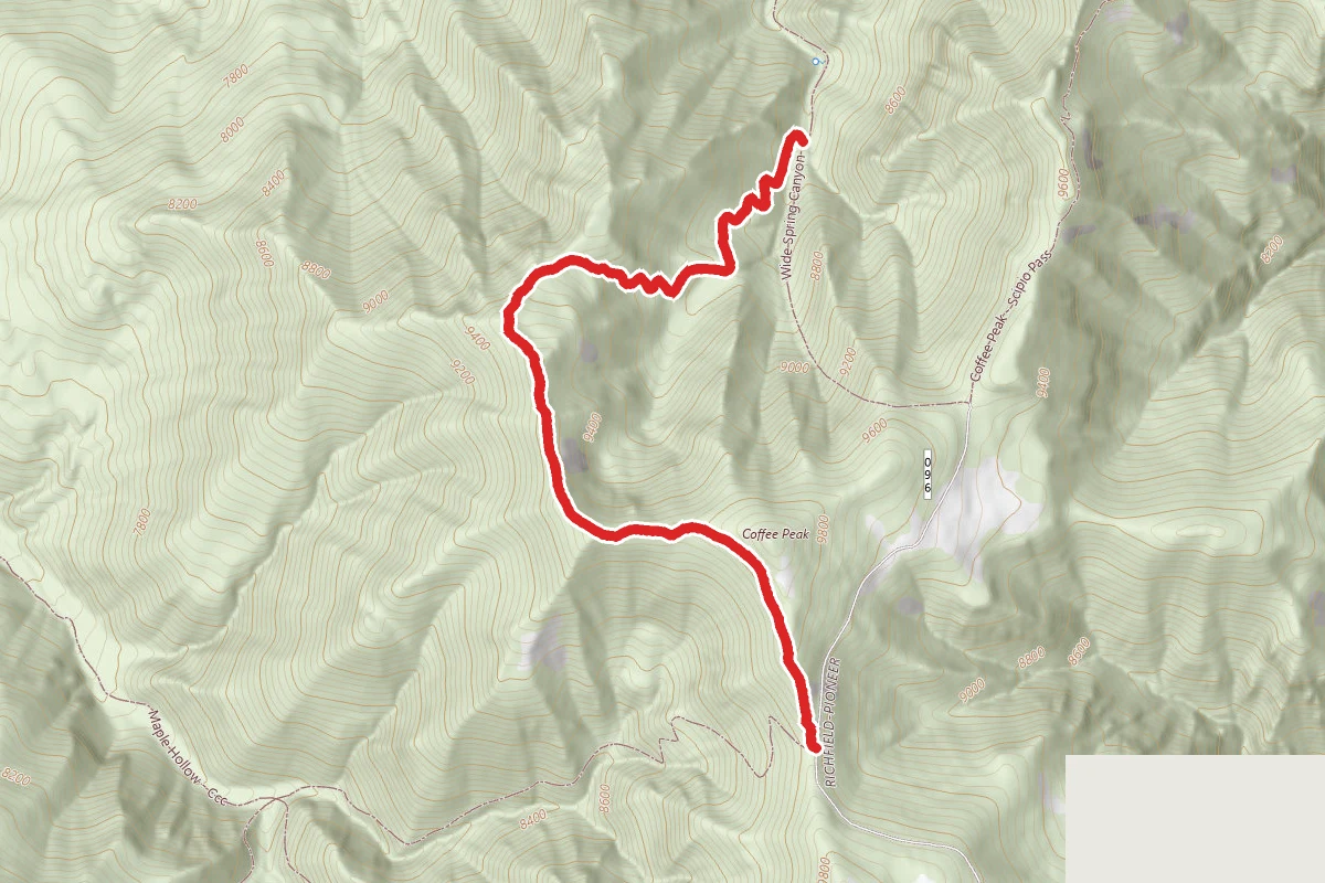 Maple Hollow - Ccc