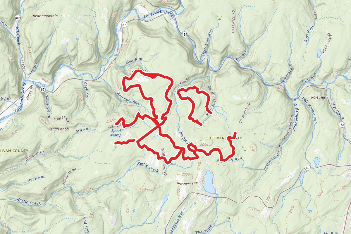 Loyalsock State Forest Bridle Trail