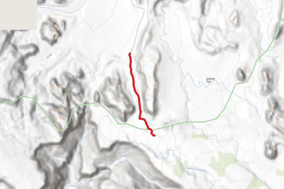 Spring Canyon