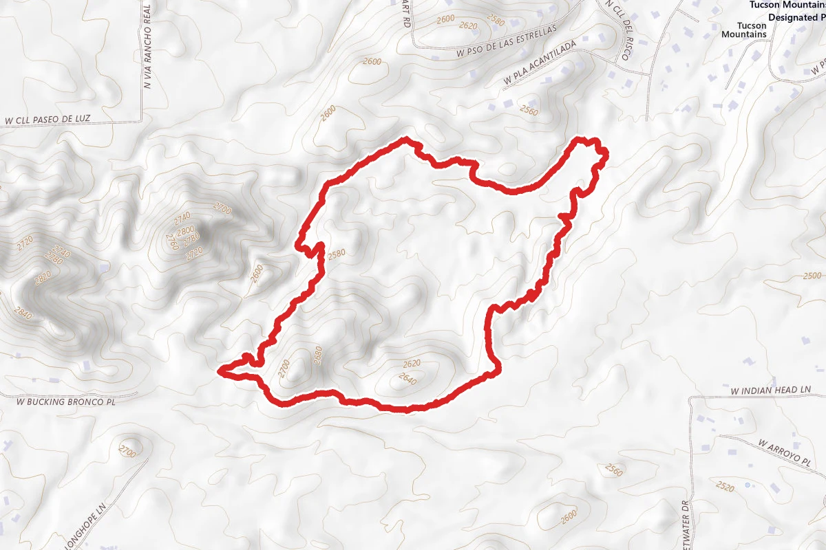 Saguaro Vista, Lost Arrow, Spine and Wildflower Ridge Loop