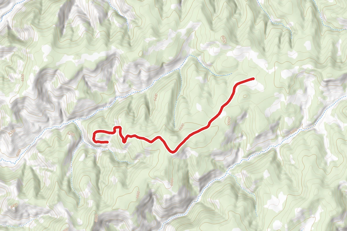 Coal Spur Road