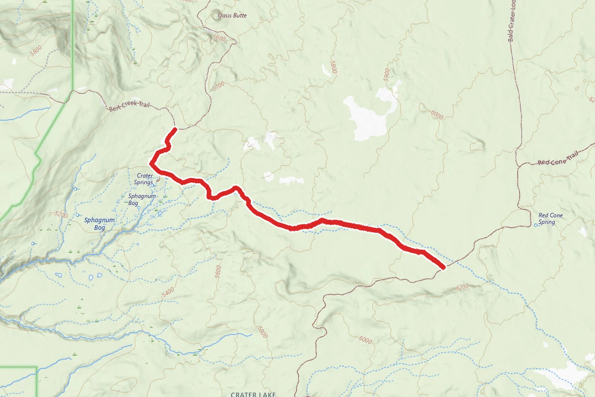 Sphagnum Bog Trail