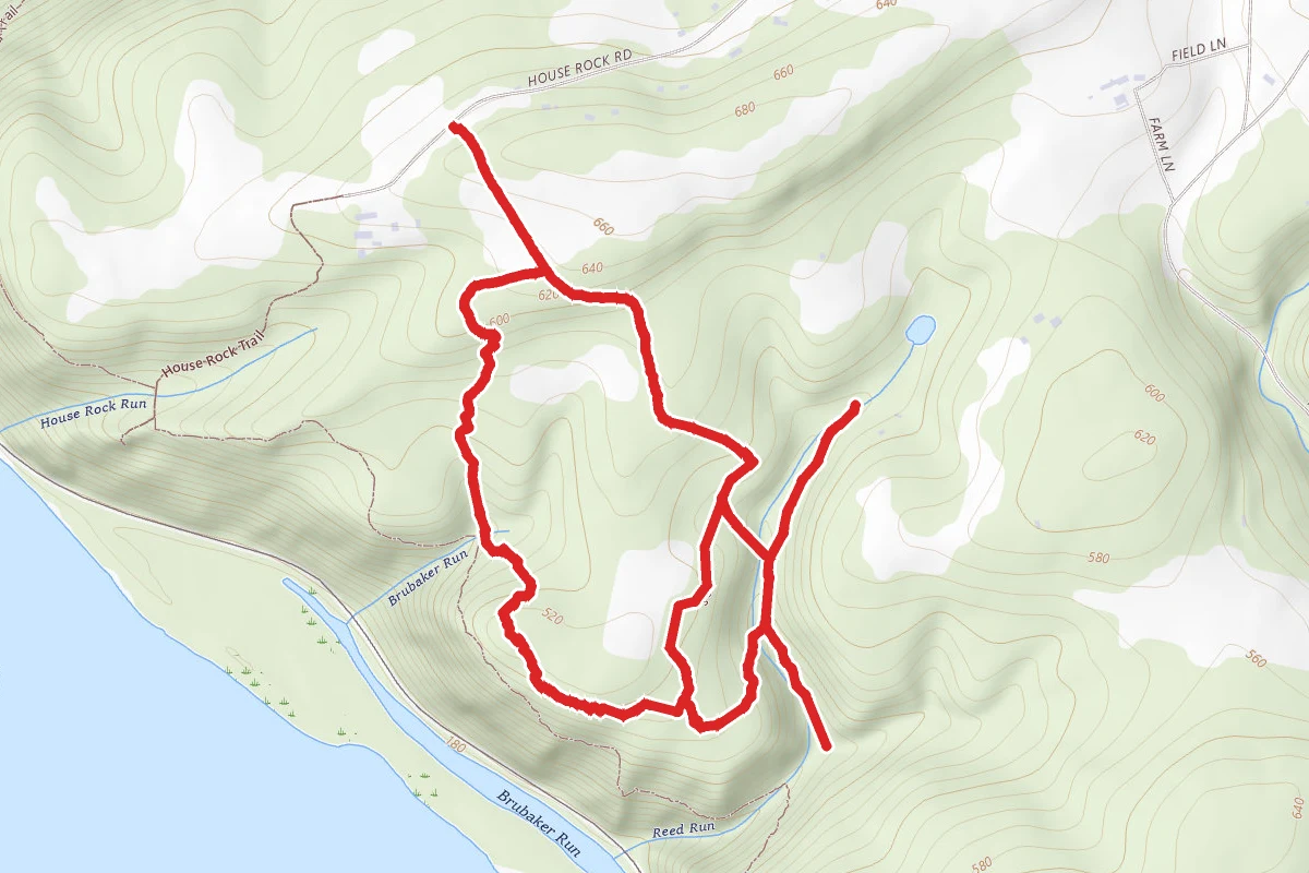 Reed Run Nature Preserve Trail