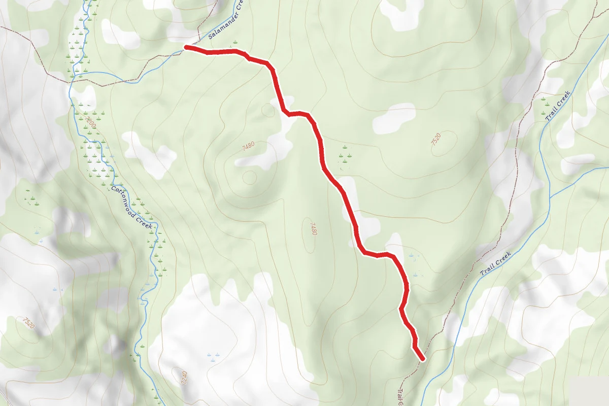 Trail Creek Cutoff
