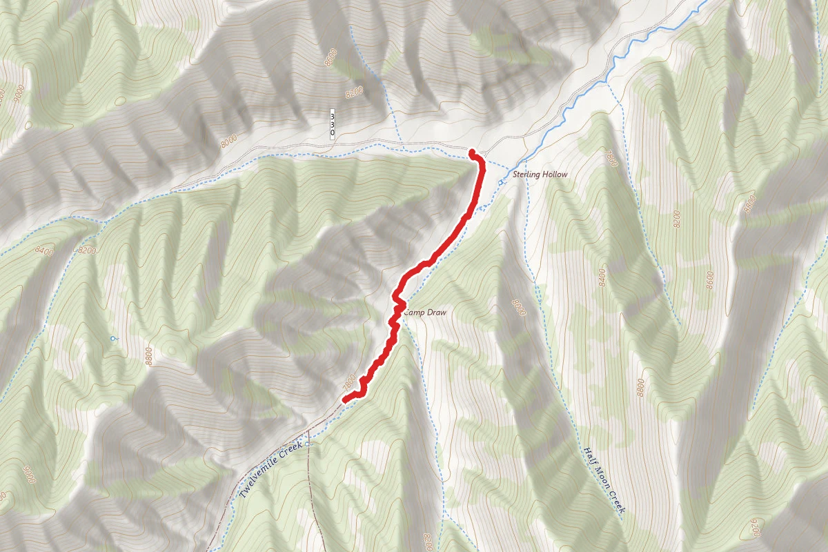 Right Fork Indian Canyon