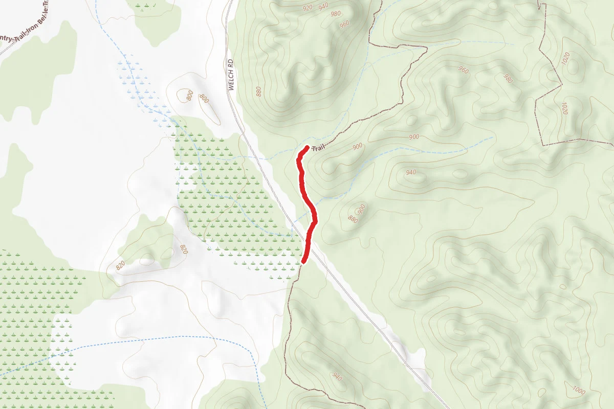 North Country Trail_Iron Belle Trail