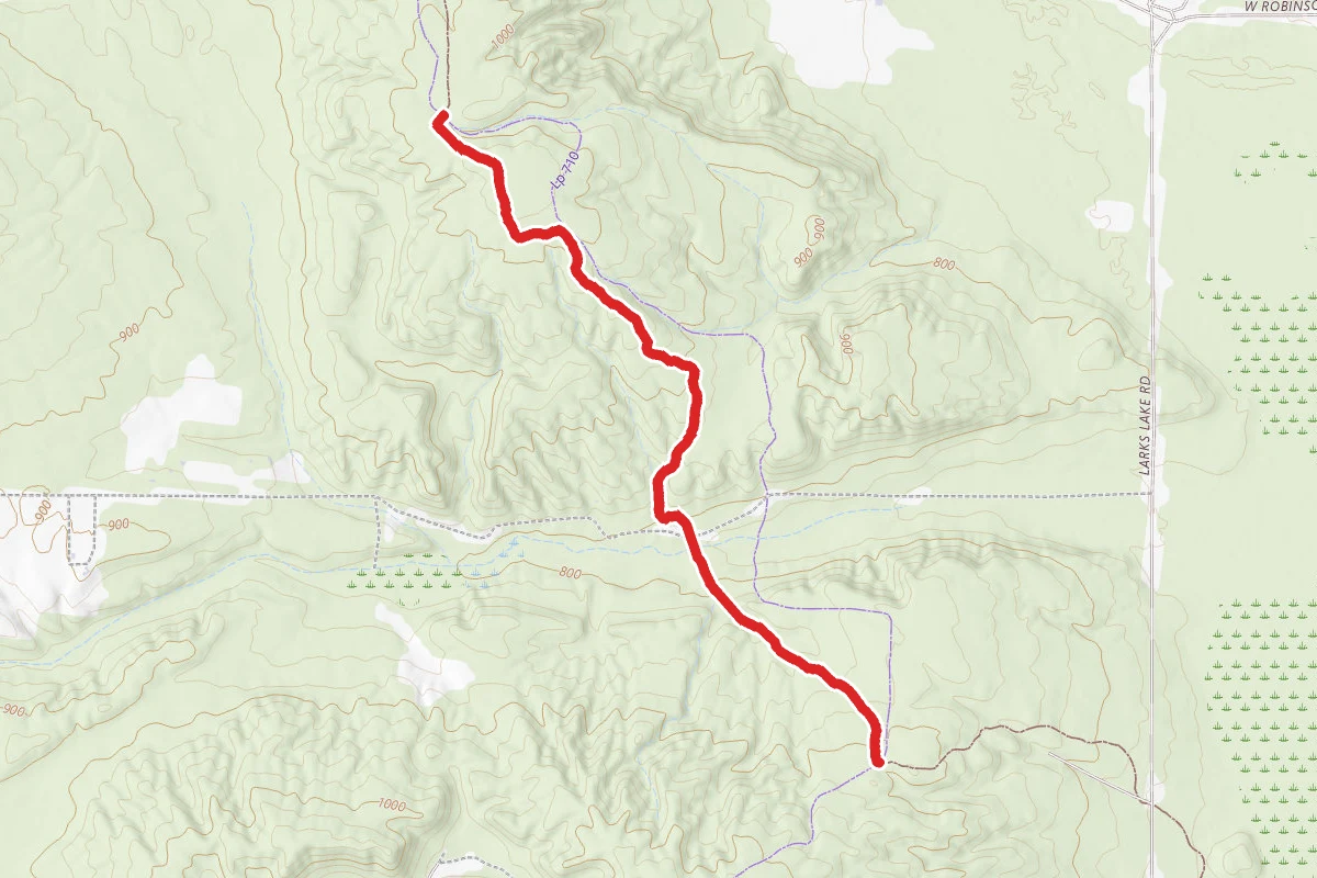 North Country Trail_Iron Belle Trail