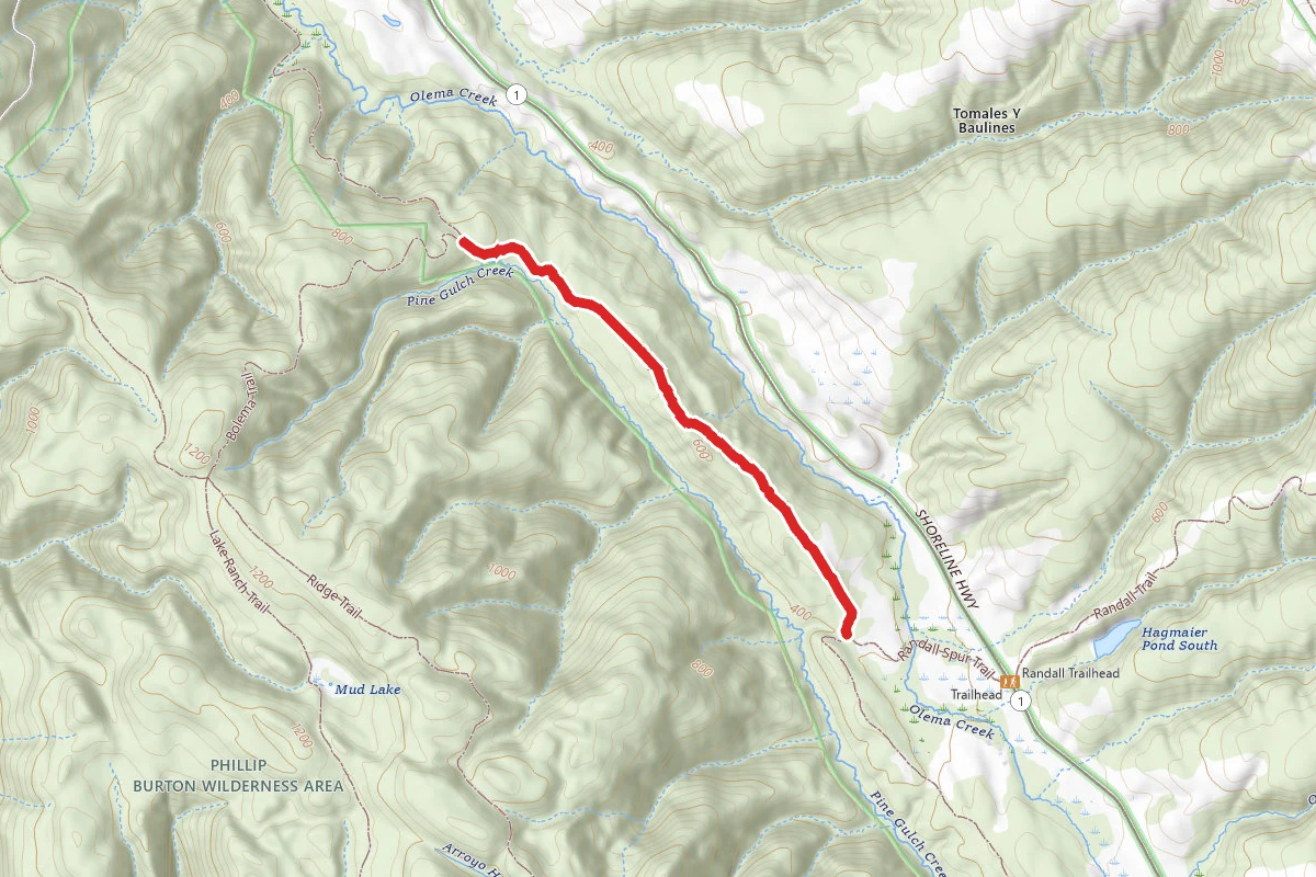Olema Valley Trail