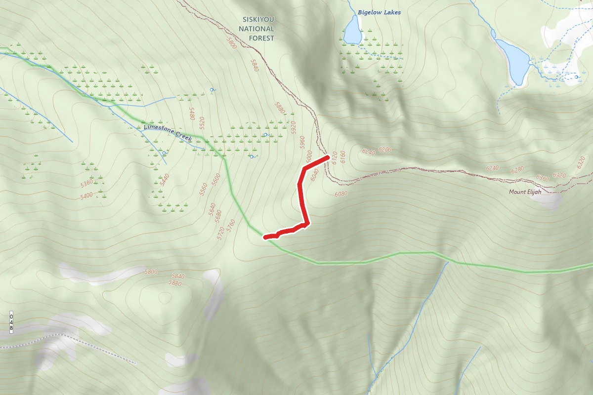FS 4614 Access Trail