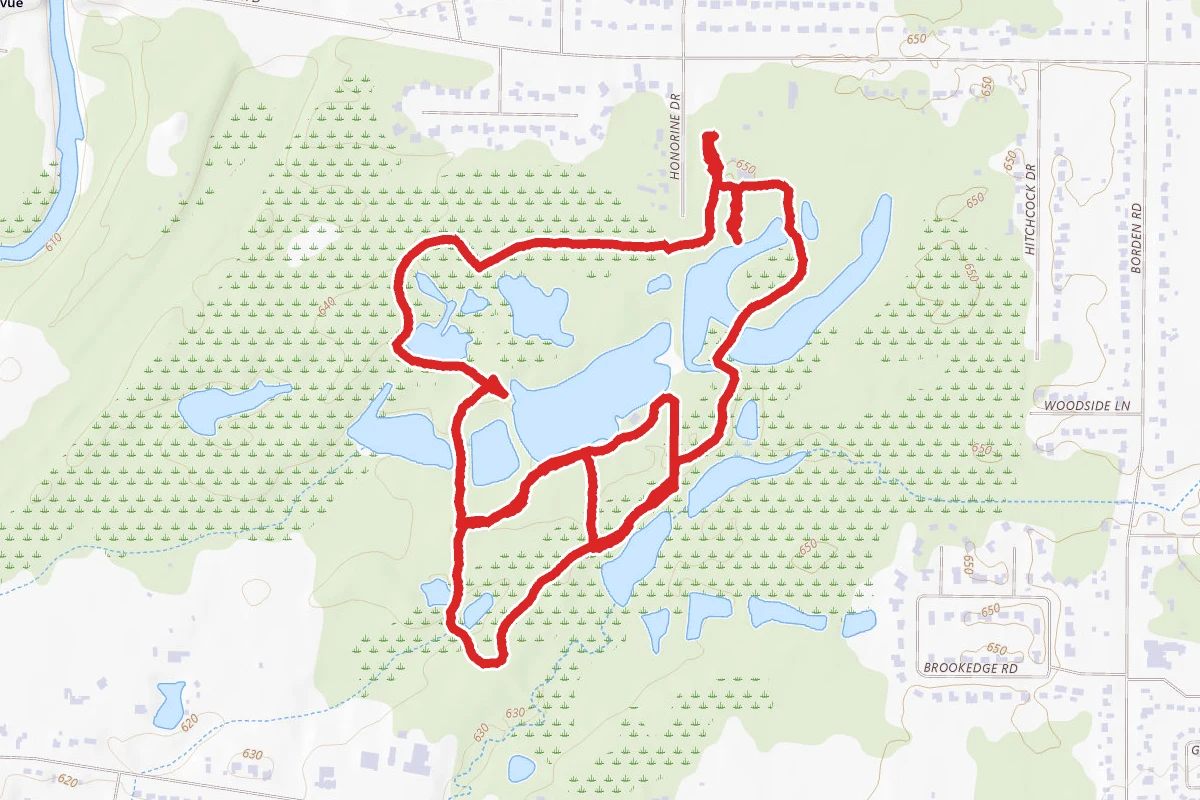 Reinstein Woods Loop