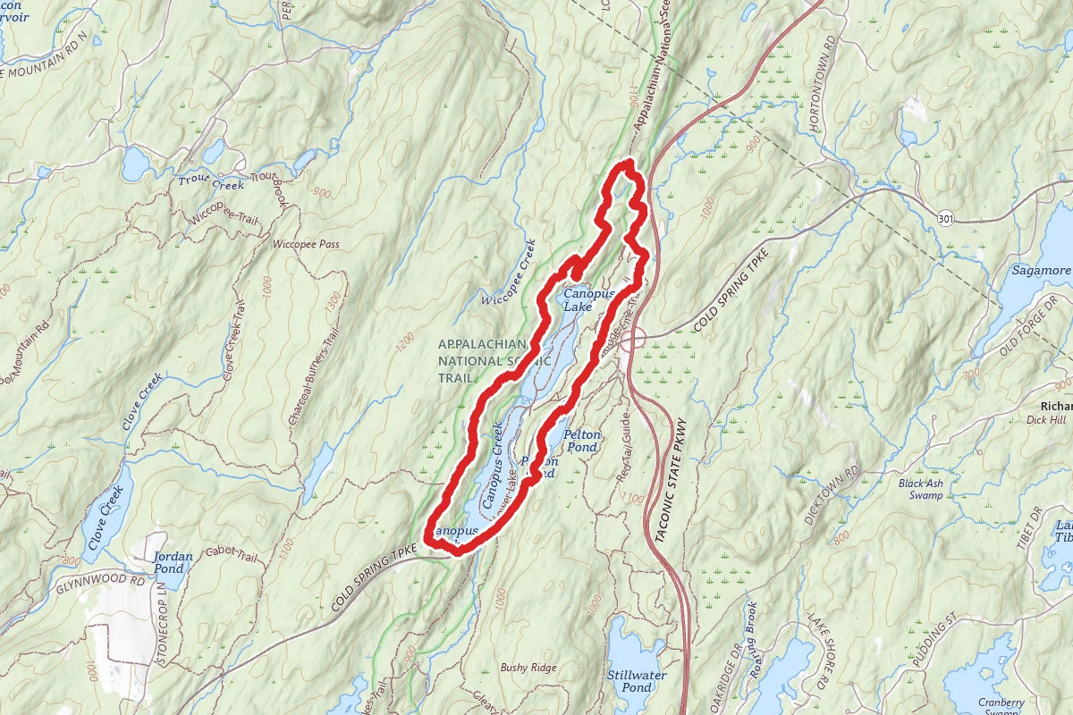 Pelton Pond and Canopus Lake Loop
