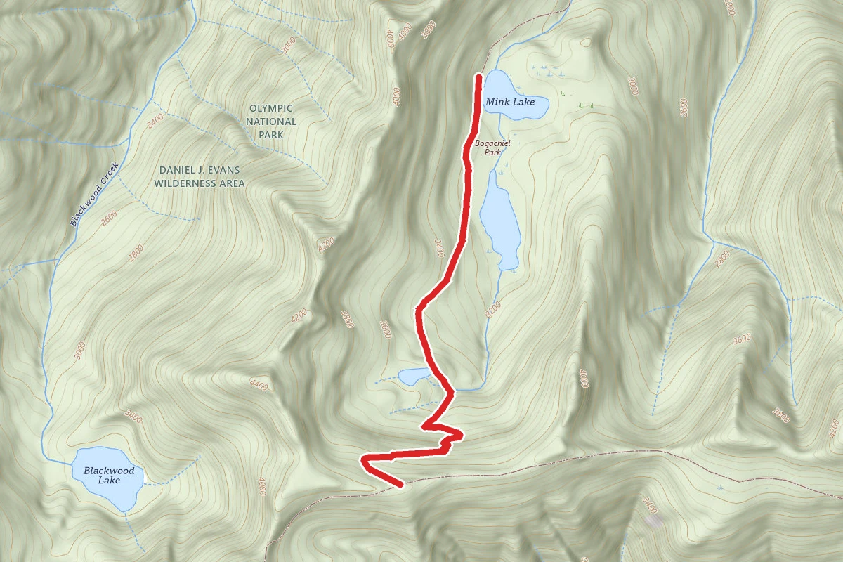 MINK LAKE TRAIL
