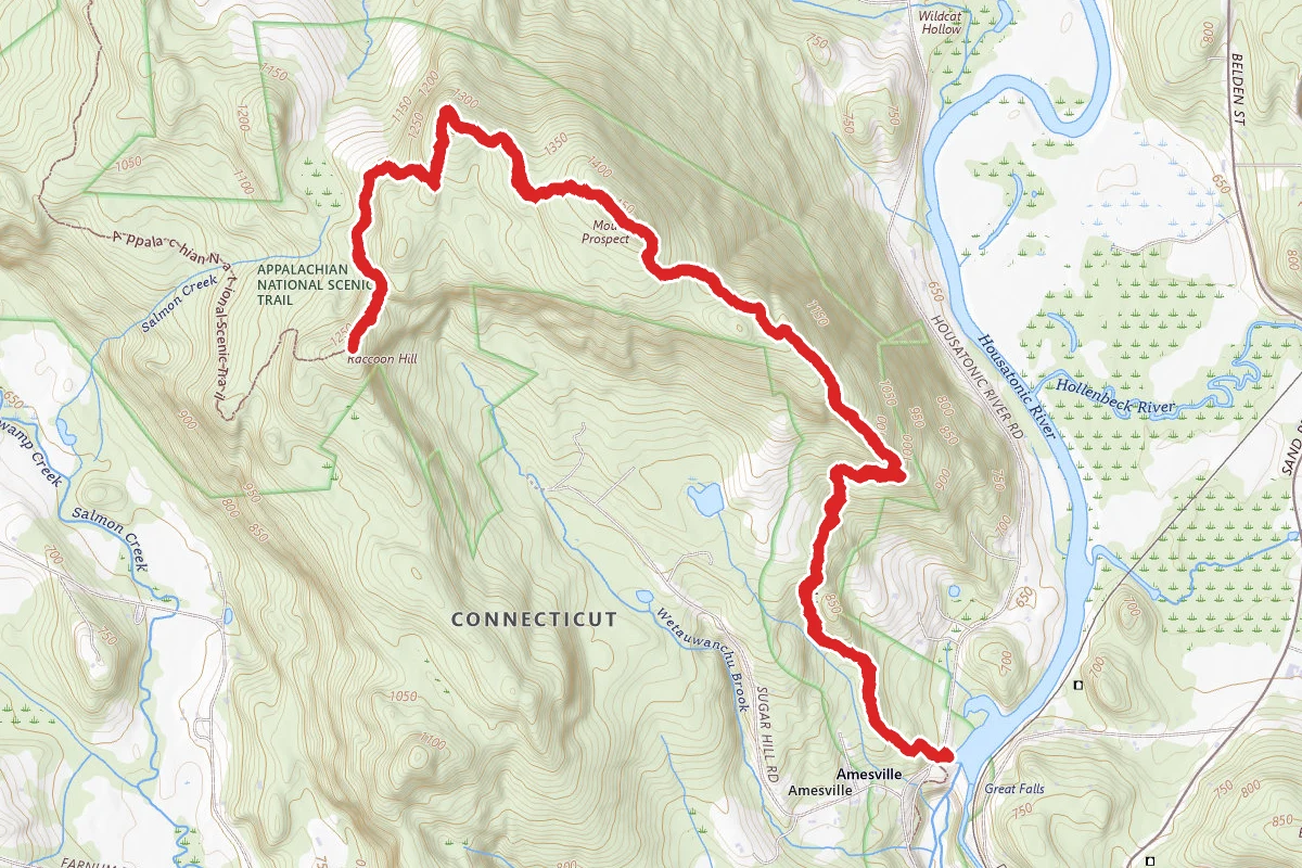 Mount Prospect and Raccoon Hill via Appalachian Trail