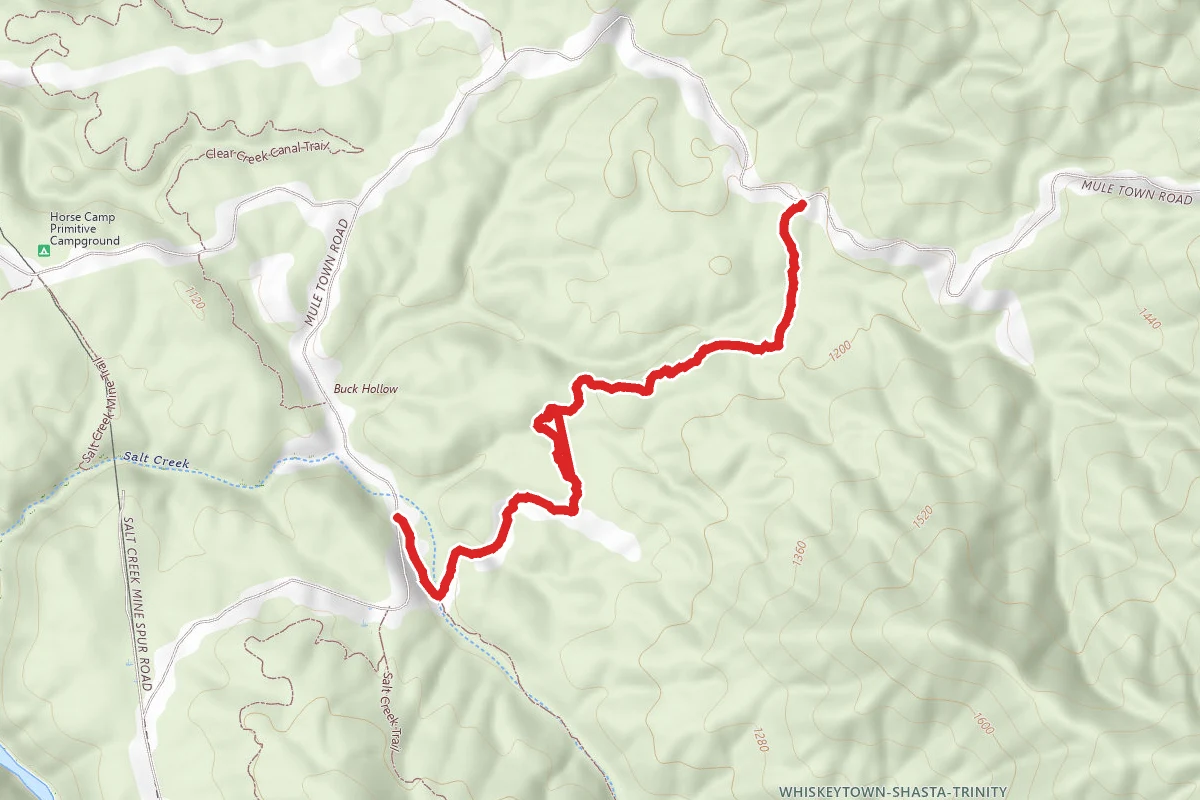 Buck Hollow Trail