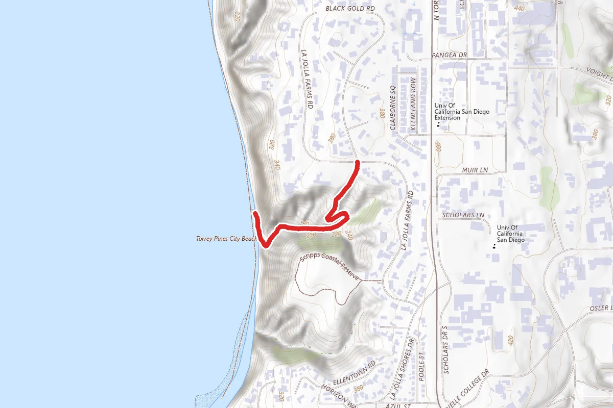 Black's Beach Trail