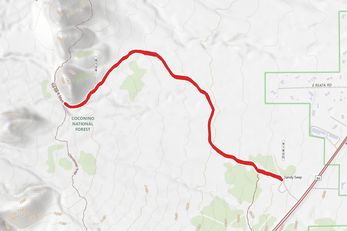 Sandy Seep Trail