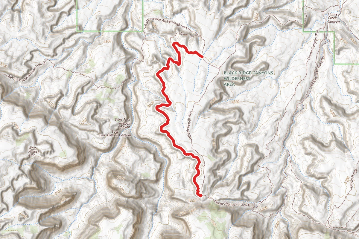 Pollock Bench (P1) Trail