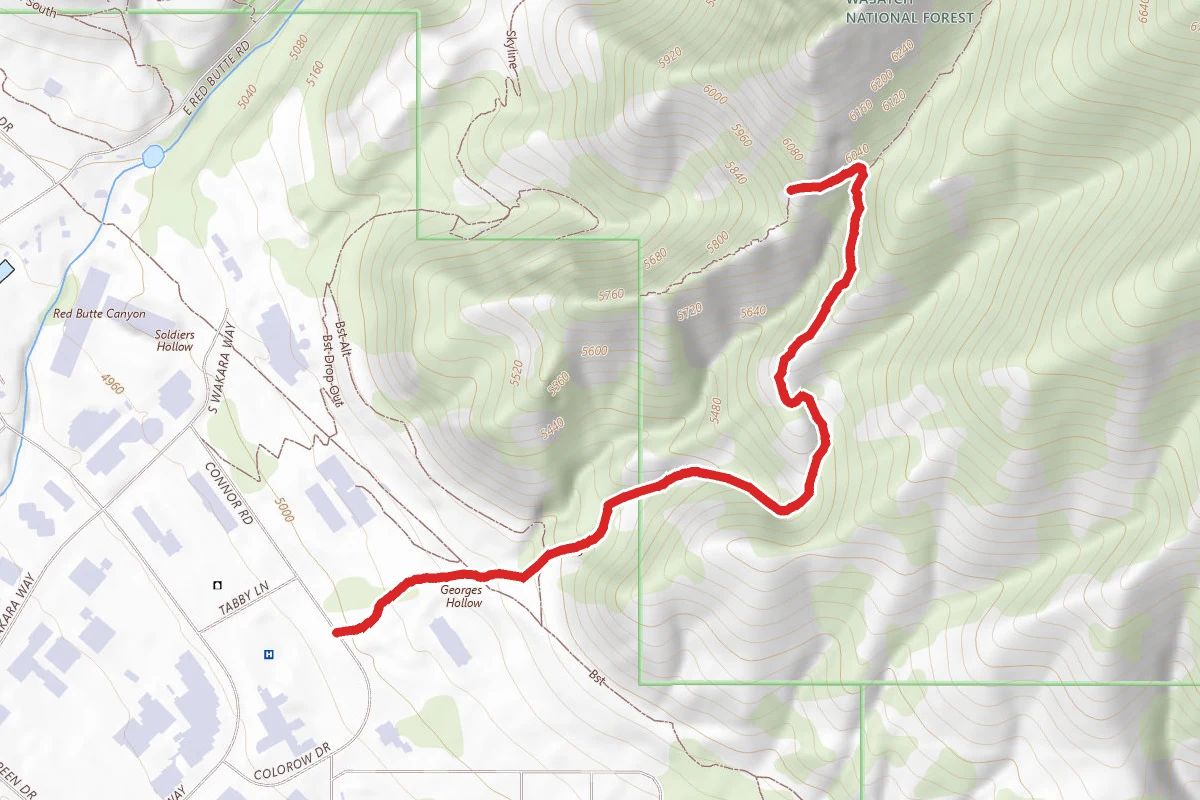 The Living Room Lookout Trail