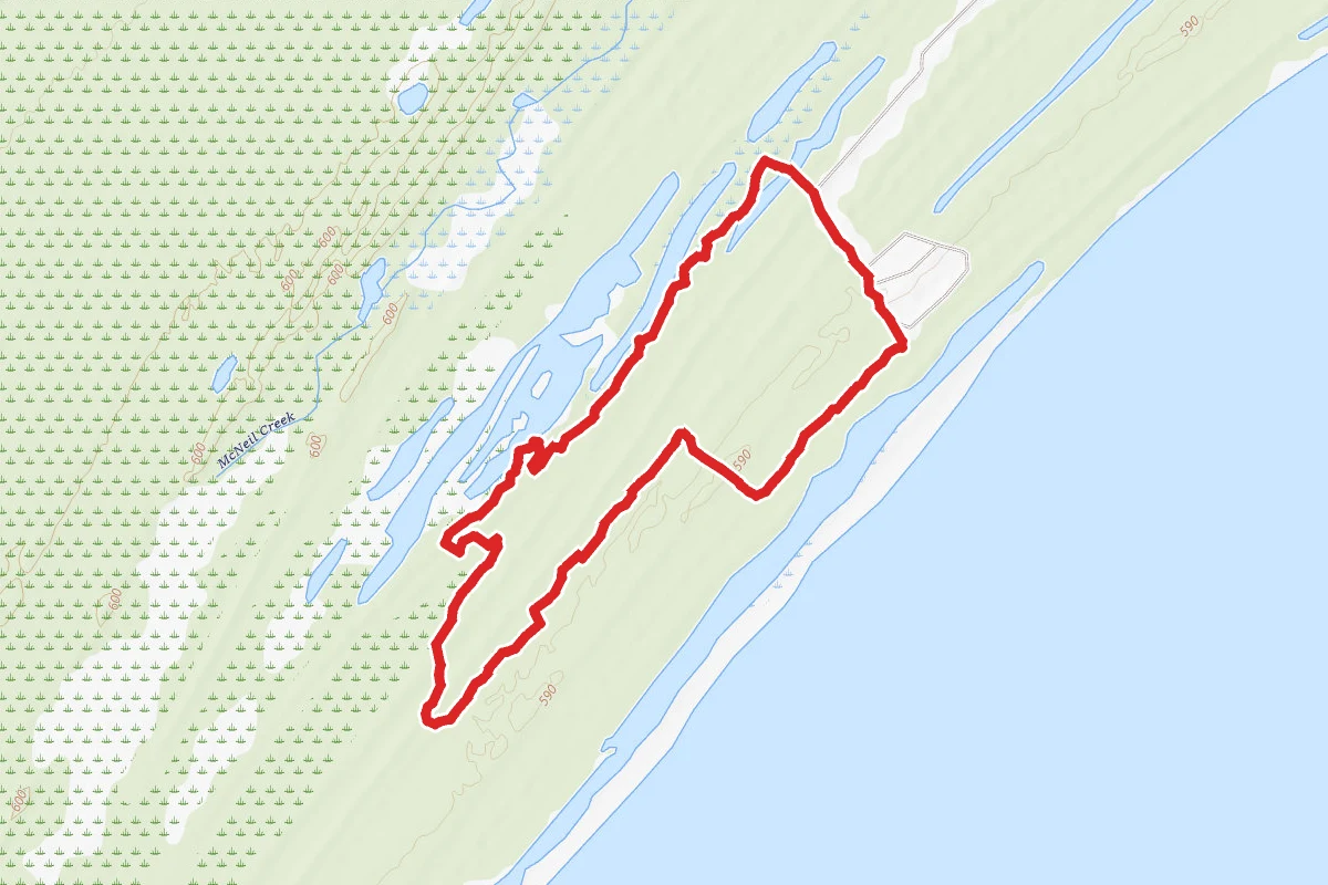 Marsh Lake Pathway
