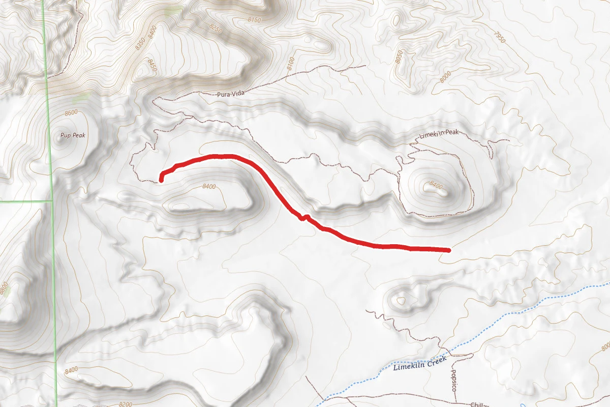 Pup Peak Road