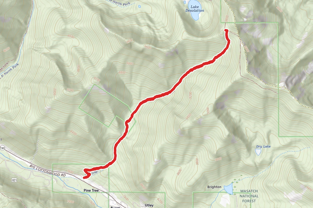 Beartrap Fork Trail