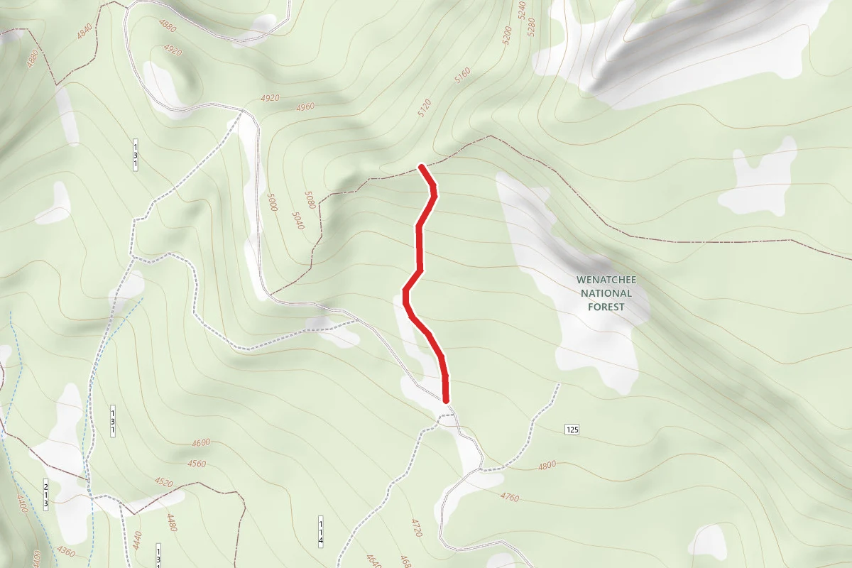 Crystal Spur