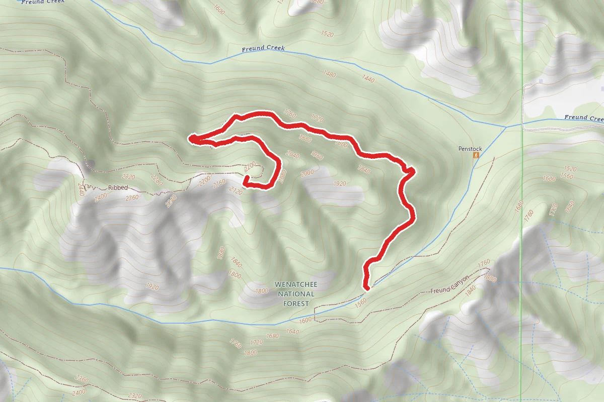 Lower Ribbed Trail