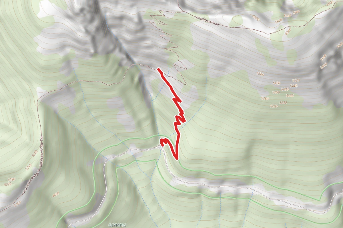 SWITCHBACK TRAIL