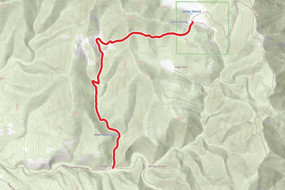 Indian Springs - Scipio Pass