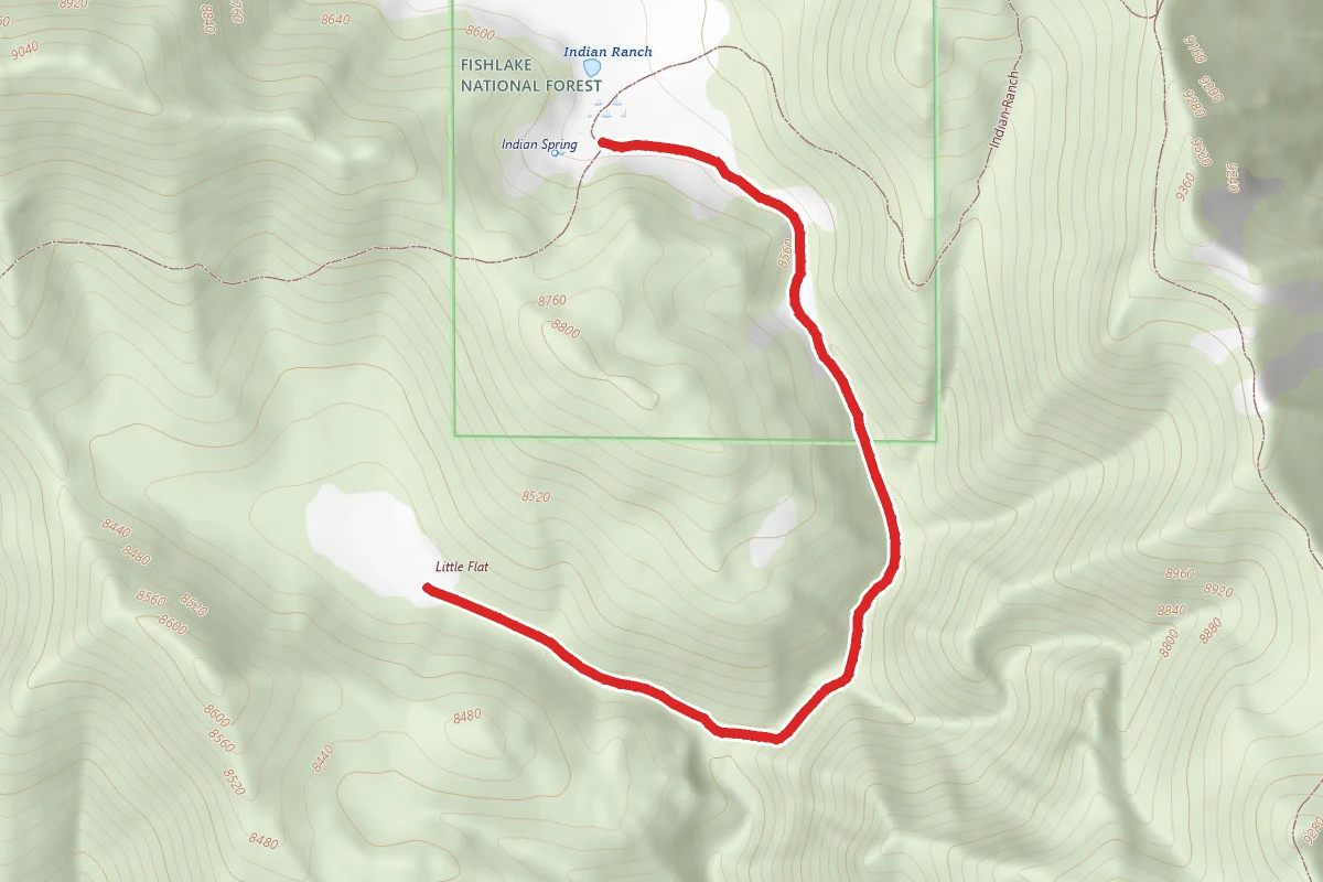 Indian Springs - Scipio Pass