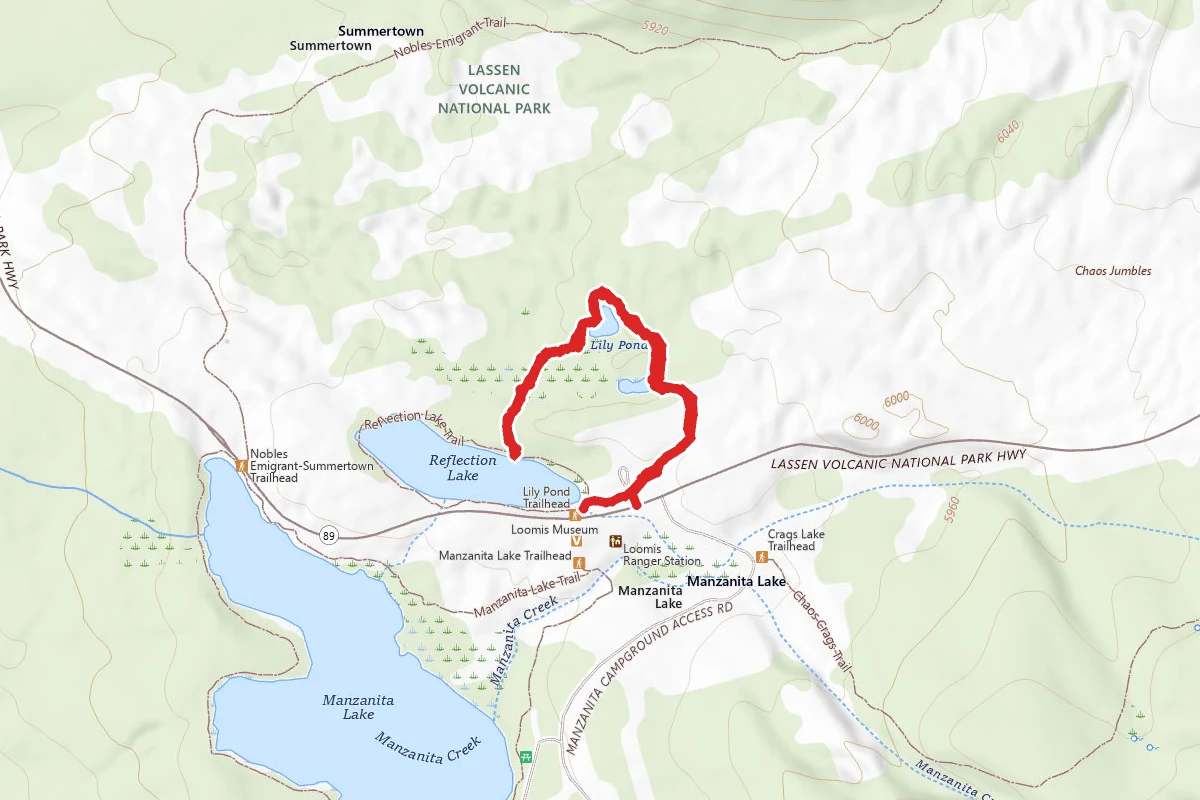 Lily Pond Trail