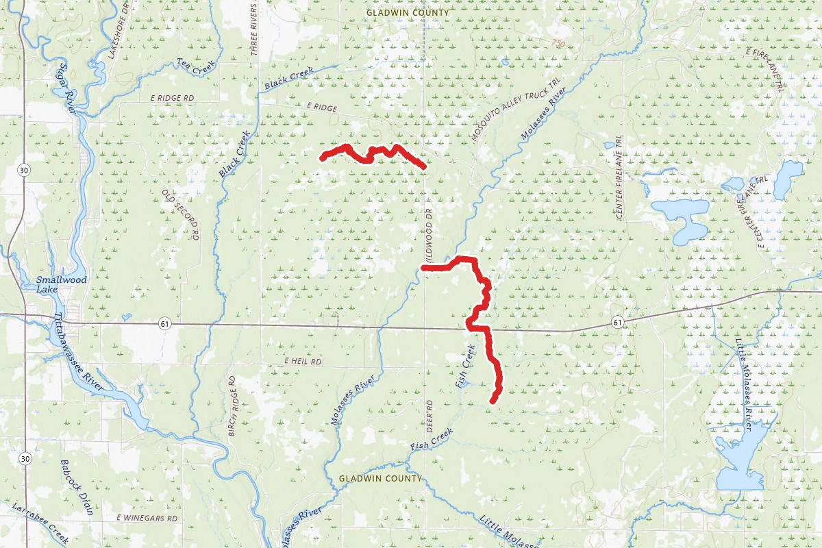 Midland to Mackinaw Boy Scout Trail