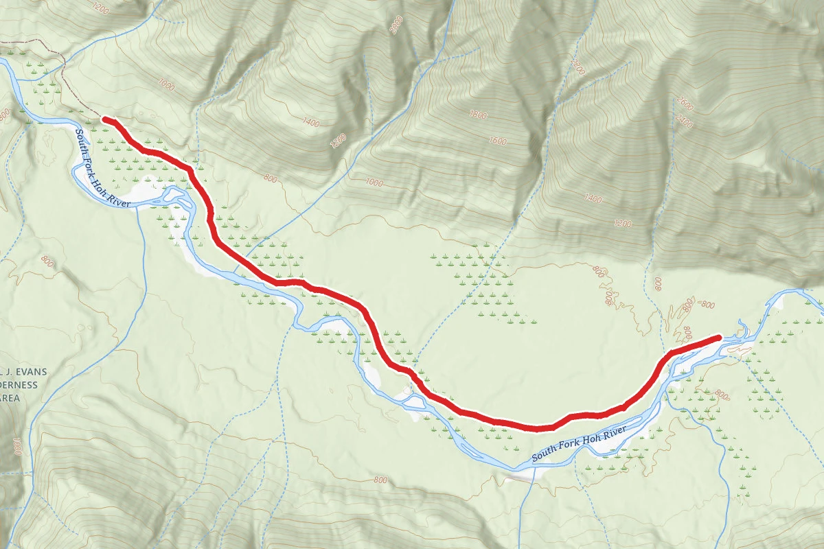 SOUTH FORK HOH RIVER TRAIL