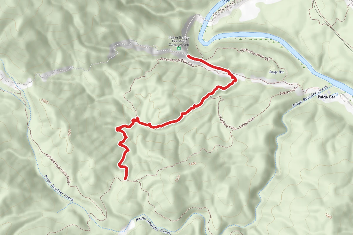 Logging Camp Trail
