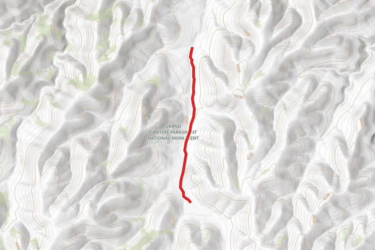 Rattlesnake Canyon