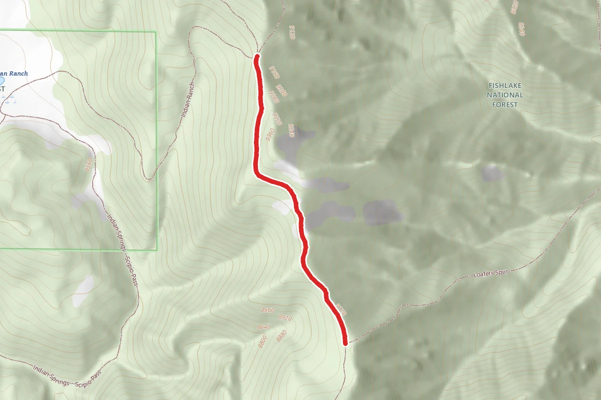 Coffee Peak - Scipio Pass