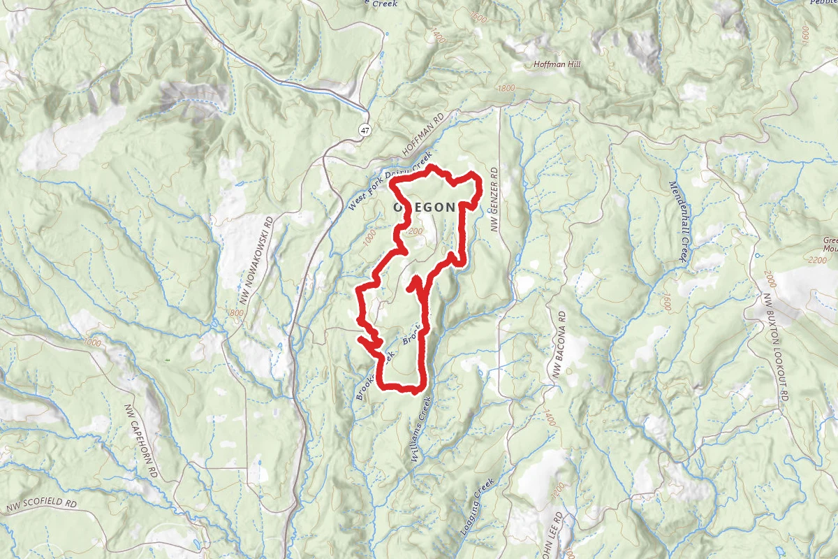 L.L. Stub Stewart State Park Loop