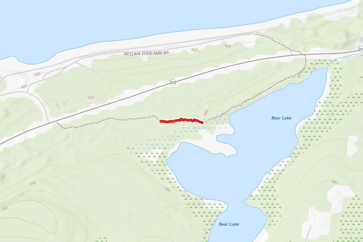 Fj Mclain State Park - Bear Lake Trail