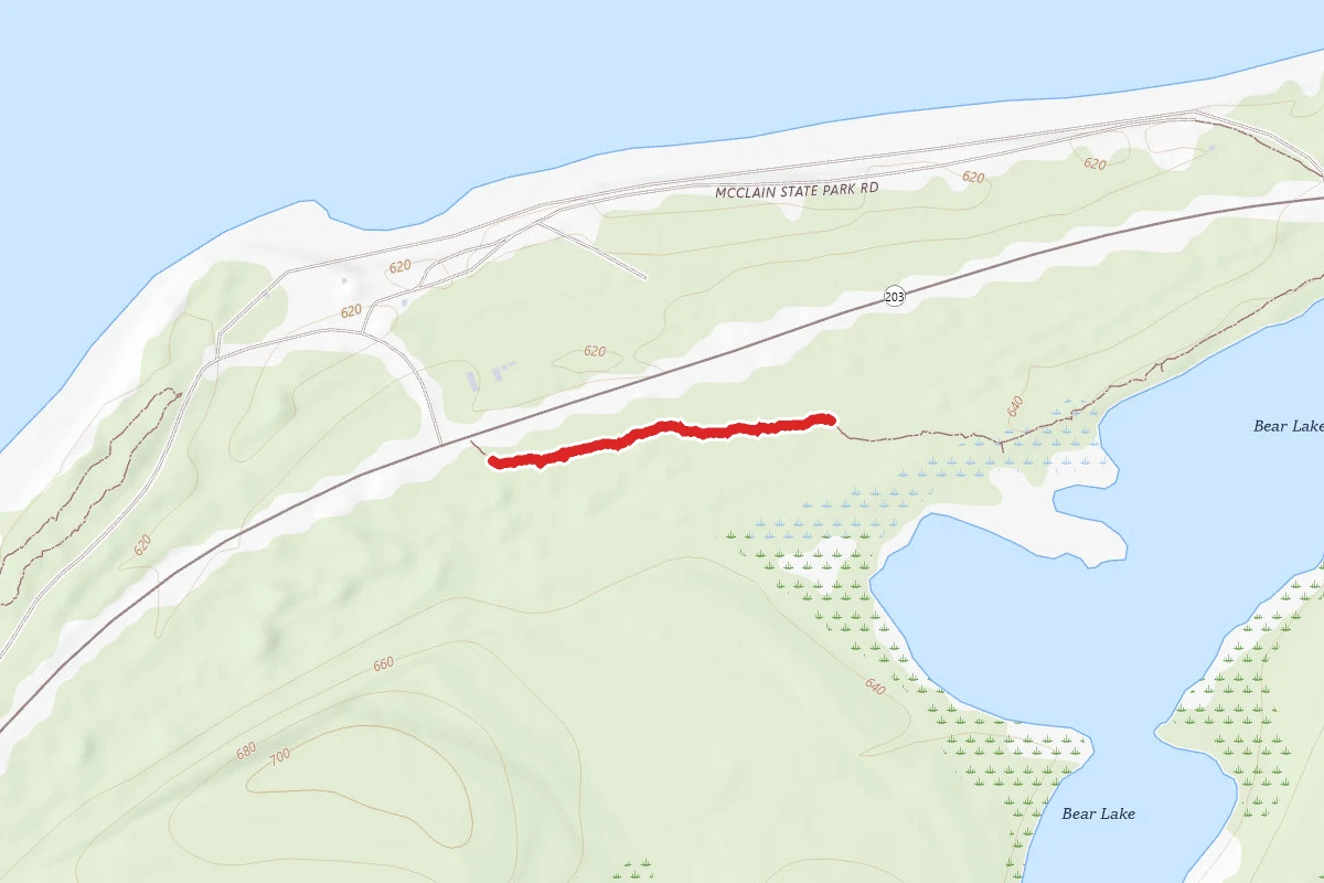 Fj Mclain State Park - Bear Lake Trail