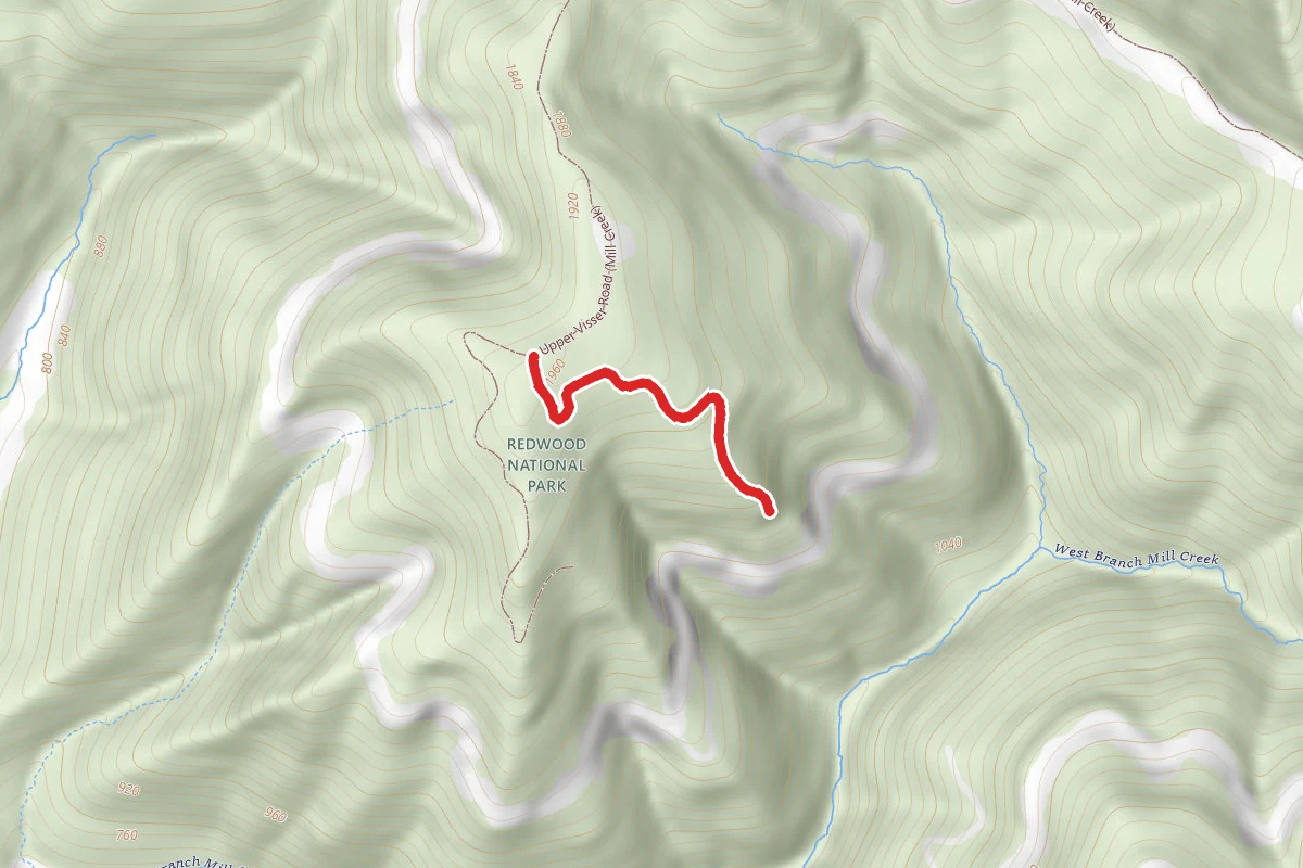 Upper Visser-1 Road (Mill Creek)