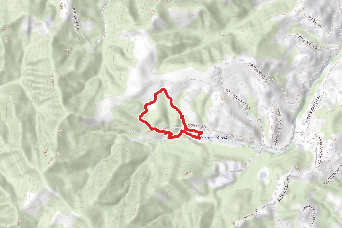 Cora Older Trail and Creekside Trail Loop