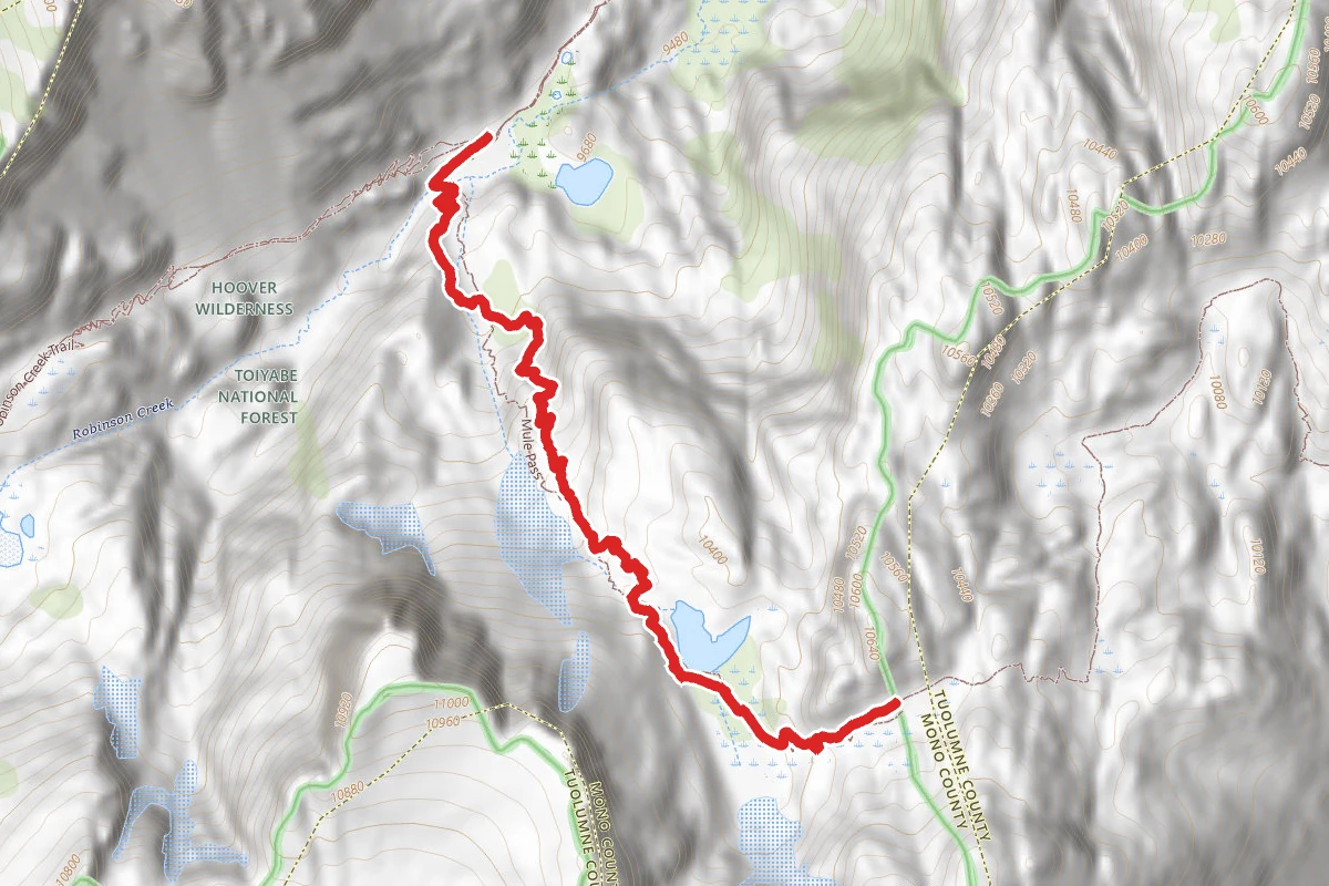 Mule Pass