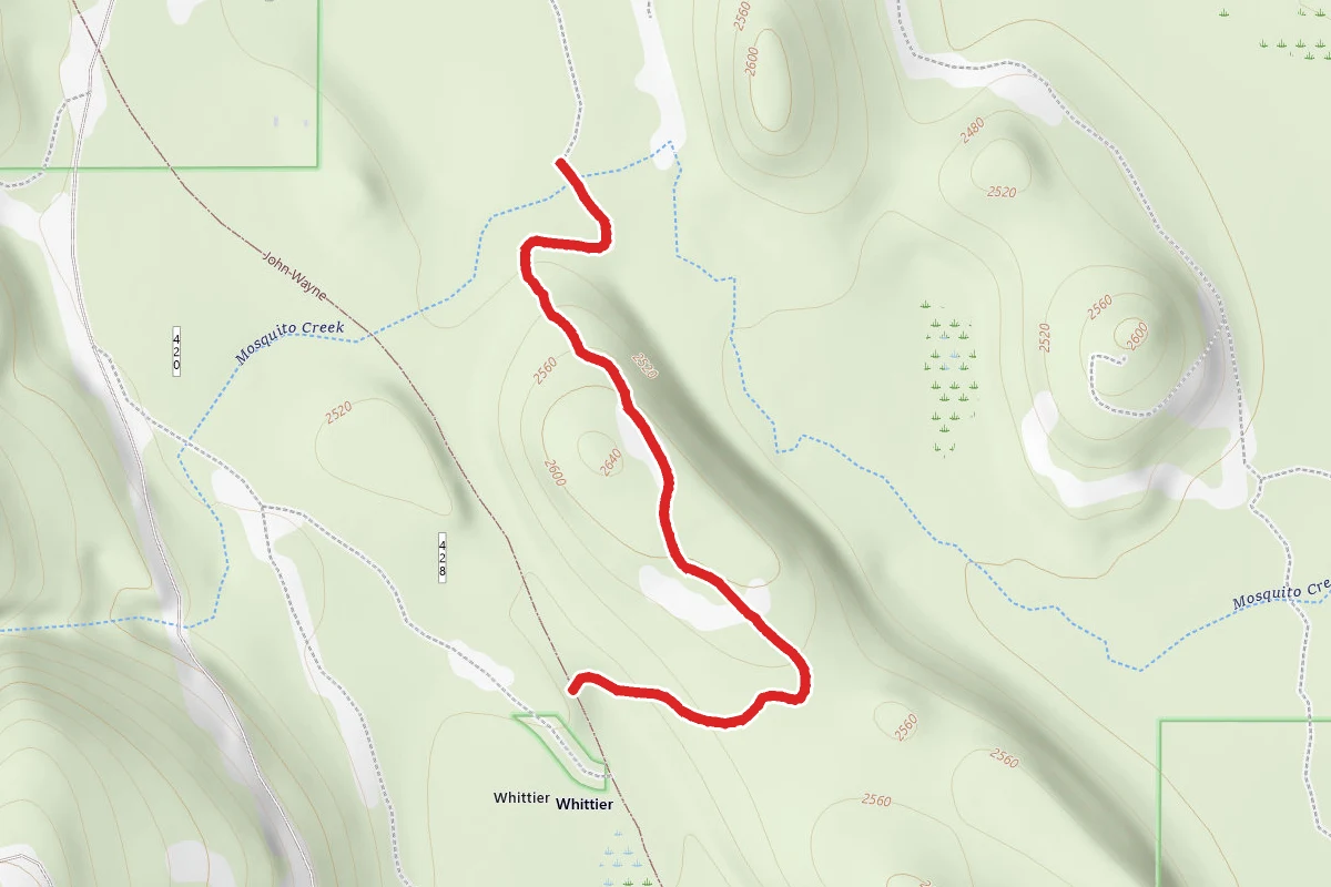 Meadow Loop Xc Ski