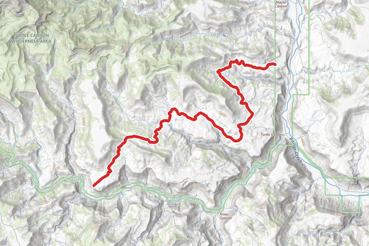Turtle Canyon Overlook
