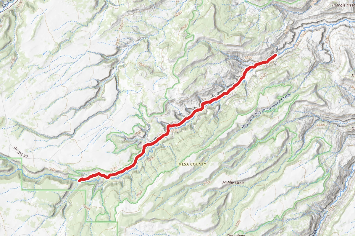 Big Dominguez Trail