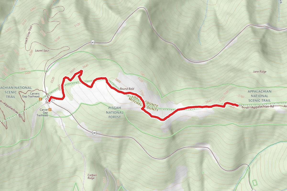 Jane Bald via Appalachian Trail