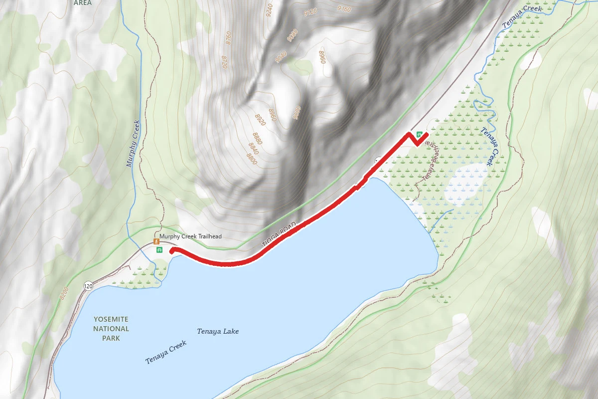 Tenaya Lake Sidewalk
