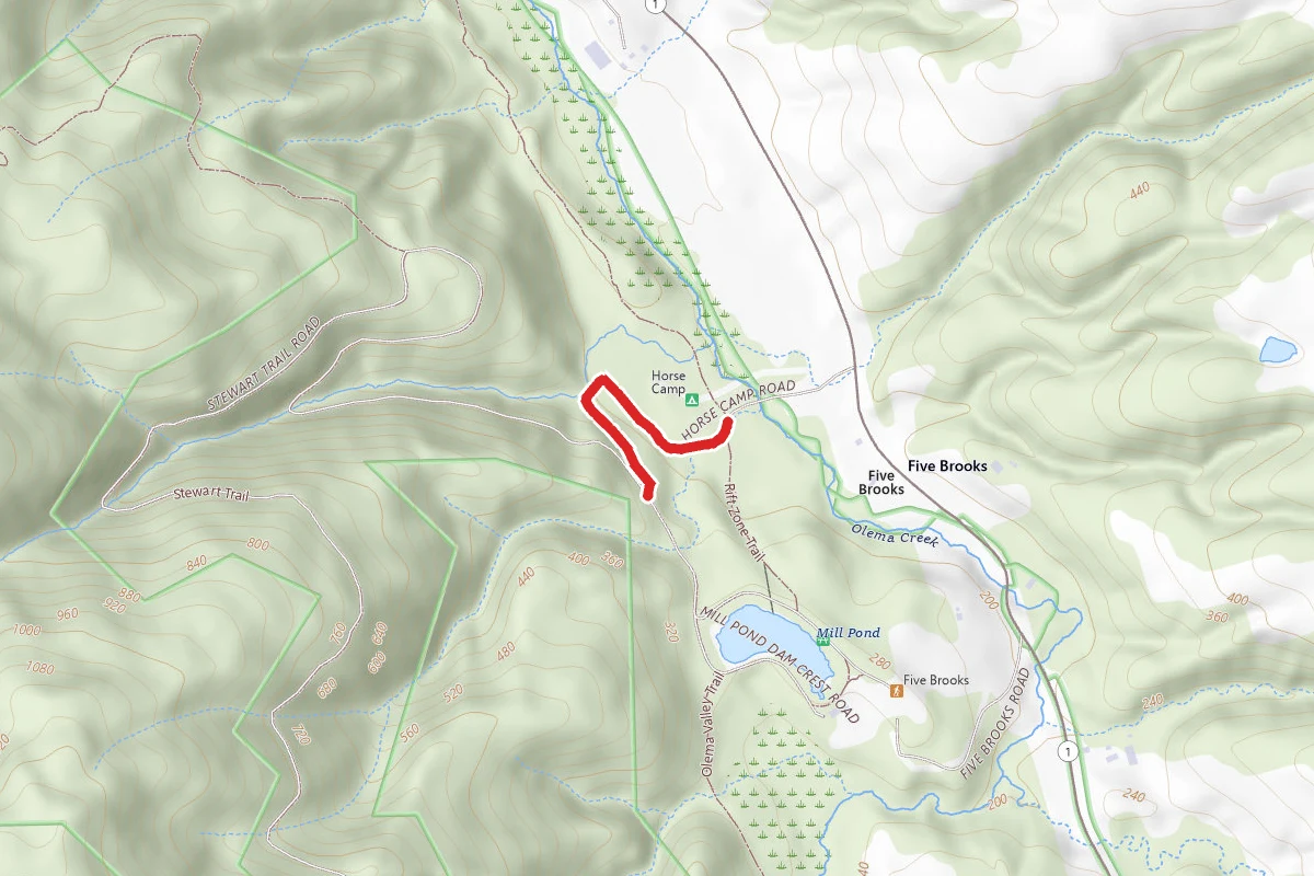 Stewart Trail to Horse Camp Connector