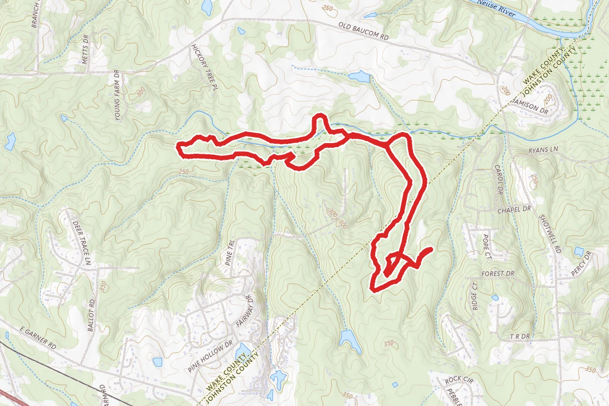 Clemmons State Educational Forest Trail