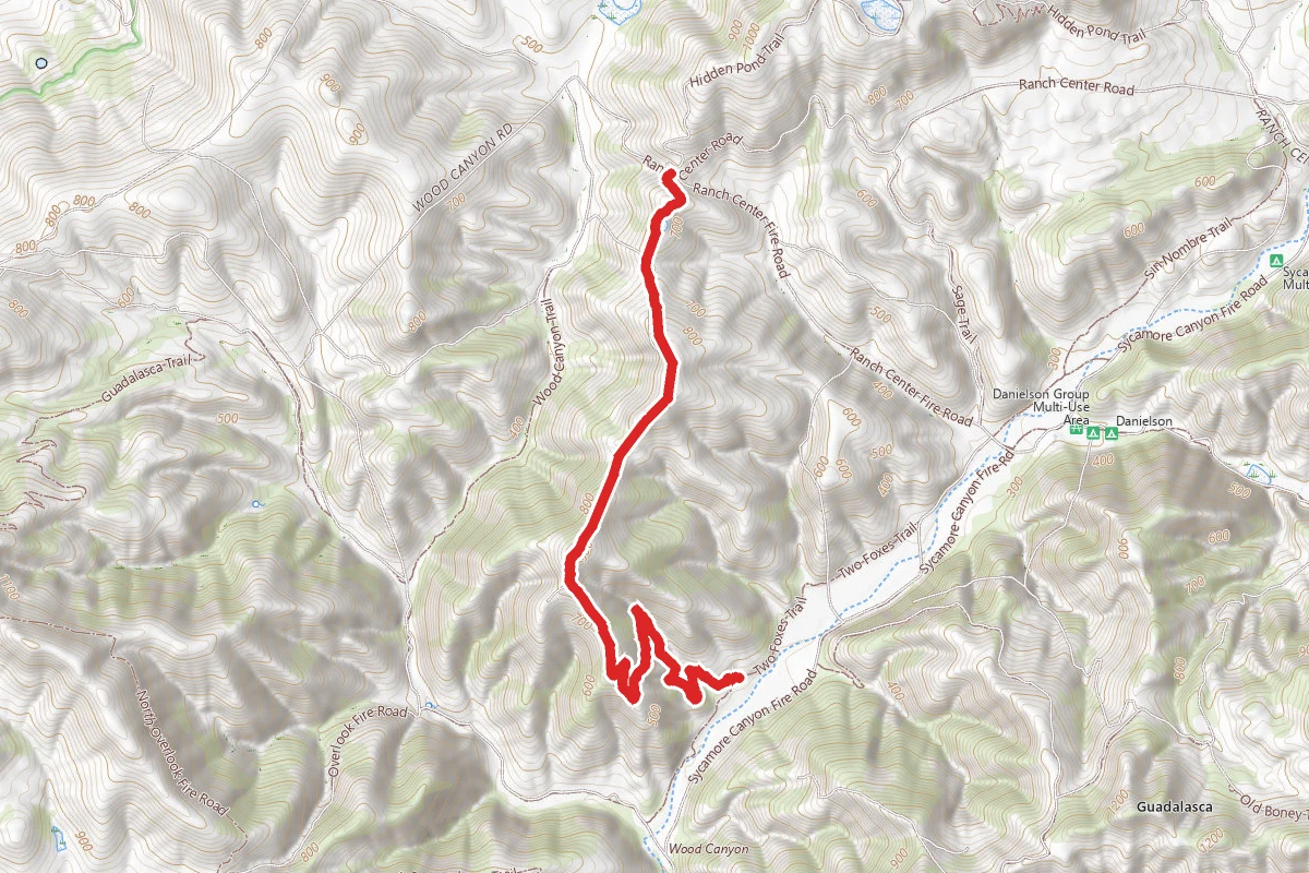 Coyote Trail